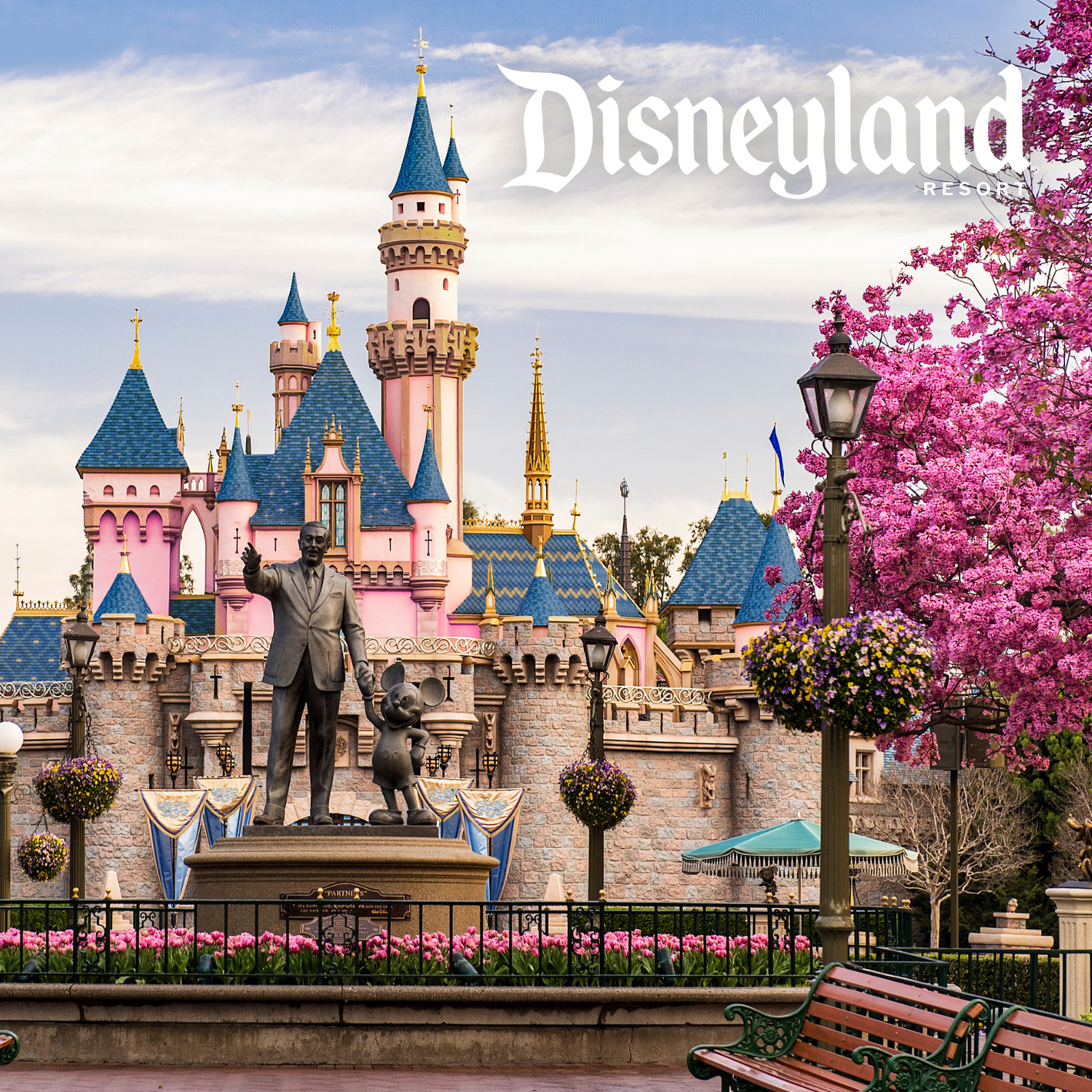 Disneyland Resort Vacation