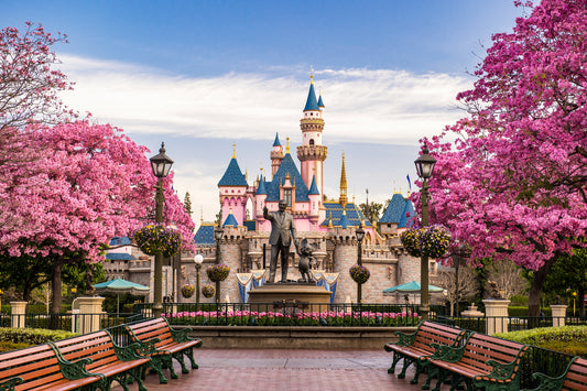 Disneyland Half Marathon Weekend