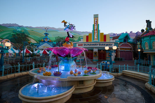Toon Town