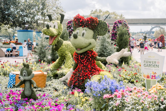 How to Safely Approach Flower & Garden Festival with Dietary Restrictions