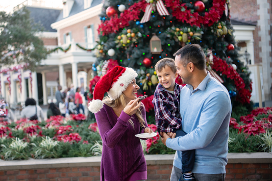 How to Celebrate the Holidays in Walt Disney World without a Holiday Party Ticket!