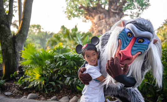Animal Kingdom's 25th Anniversary Celebration!