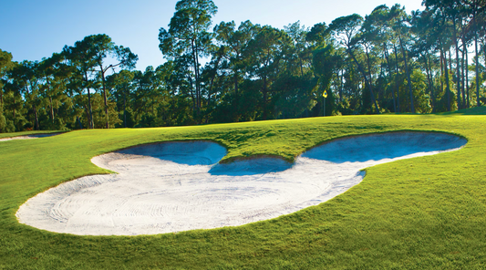 Disney Golf