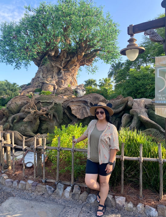 Disney Vacation Planner