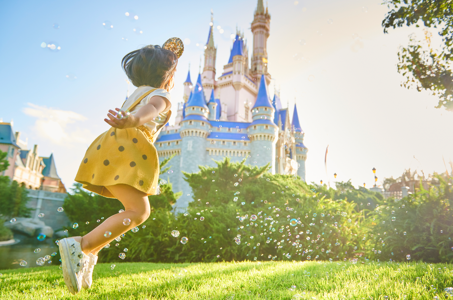 Walt Disney World Travel Planner