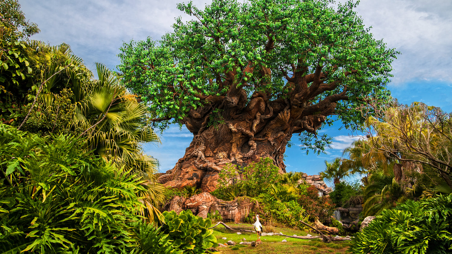 Walt Disney World Vacation Planner