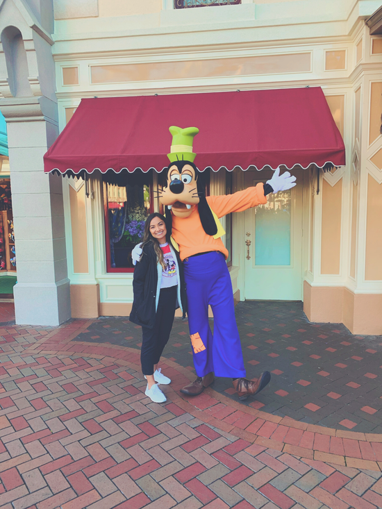 Disney Vacation Planner